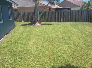 Jennifer W.'s Lawn Mowing service result