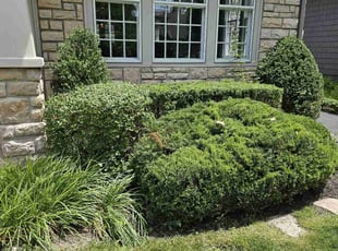 Landscaping by Leroy Green II for Mike C. in Upper Arlington, OH