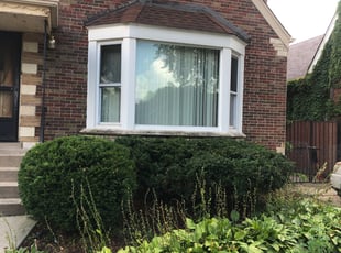 Bush Trimming by CeAsiah McCracklin for Ky T. in Chicago, IL