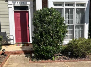Bush Trimming by Ron Goldshmid for Dwan K. in Charlotte, NC
