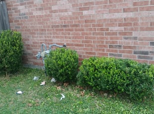 Bush Trimming by Jonah Garza for Tabitha R. in Baytown, TX