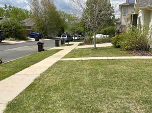 stephanie k.'s Lawn Care service result