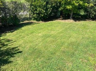 Verba W.'s Lawn Service service result