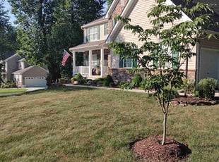 Gary M.'s Grass Cutting service result