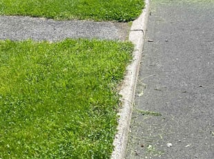 Vena T.'s Lawn Care service result