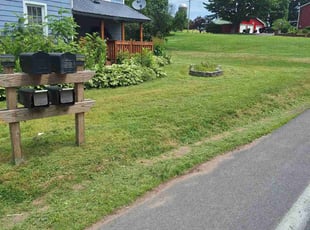 Randall C.'s Grass Cutting service result