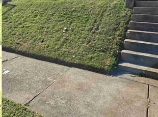 Cassandra D.'s Yard Cutting service result
