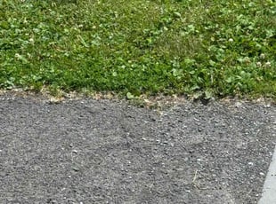 Cleanups by Mathew Benham for Candice H. in Syracuse, NY