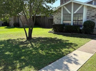 Bush Trimming by Stuart Kindred for Shirley W. in Mesquite, TX