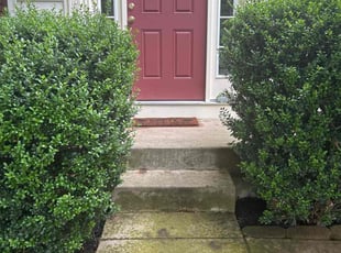 Weeding by Robert Hatton for Abeda A. in Fredericksburg, VA