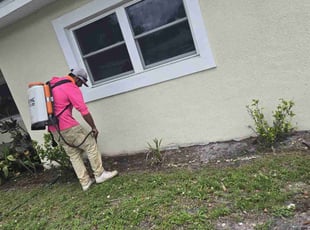 Weeding by Elvis Pintado for ASHLEY J. in Tampa, FL