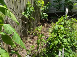 Cleanups by Brandon McDonald for Kristina L. in Springfield, MO