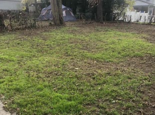 Leaf Removal by Kareem Bonner for Carol J. in Cincinnati, OH