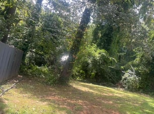 Bush Trimming by Jovon Braddy for Corey B. in Atlanta, GA