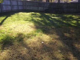 Leaf Removal by Demetrius Curry for Philip B. in Tulsa, OK
