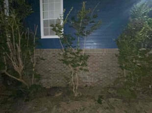 Bush Trimming by Jaylon Sims for Pat D. in Pleasant Grove, AL