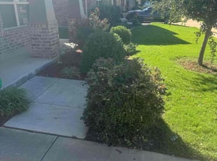 Bush Trimming by Nicolas Simkins for Kunle S. in Fort Worth, TX