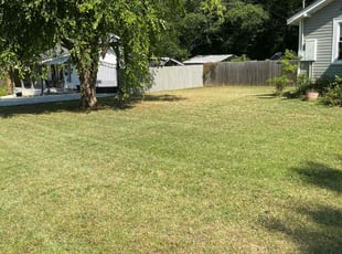 Daniel L.'s Grass Cutting service result