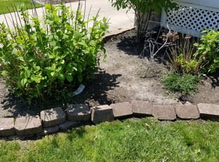 Weeding by Kelvin Grove for Bob Z. in Lakewood, OH