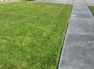 Deborah C.'s Lawn Service service result