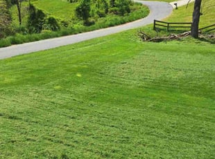 Kathy B.'s Lawn Service service result