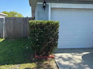 Bush Trimming by Robert Wynn for Drake S. in Brandon, FL