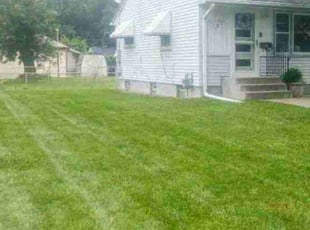 Phenola M.'s Lawn Care service result