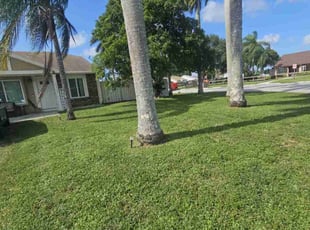Andrea R.'s Yard Cutting service result