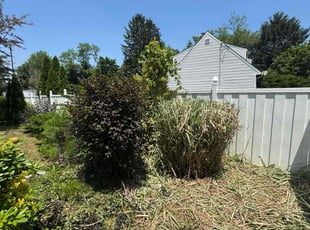Bush Trimming by Zachary Ballesteros for Jemimah L. in East Brunswick, NJ