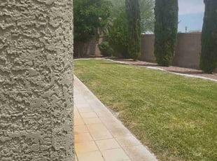 Emily S.'s Lawn Mowing service result