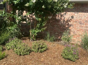 Weeding by Leray Thornton for JP P. in Oklahoma City, OK