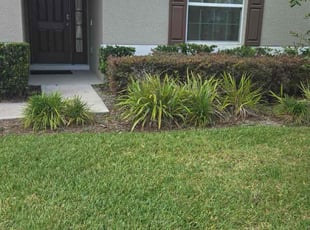 Bush Trimming by Karol Frisancho for JESSE P. in DeLand, FL