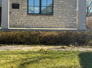 Bush Trimming by Robert Elchuk for Alexandra D. in Birmingham, MI