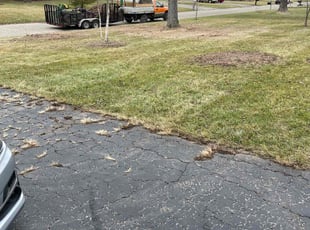 Leaf Removal by Luis Contreras for Drew C. in Indianapolis, IN