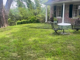 Bush Trimming by Brandon Fiala for Lisa B. in Saint Charles, MO
