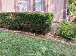 Bush Trimming by Justin Daniel for Russ J. in Kansas City, KS