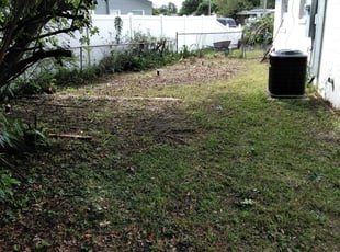 Cleanups by William Chambers for Will D. in Orlando, FL