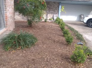 Weeding by Daniel Campos for Patrick P. in Houston, TX