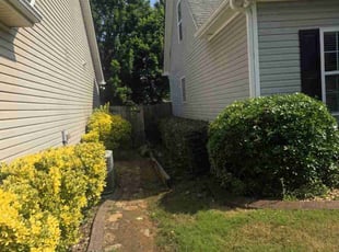 Bush Trimming by David Clark for Debi L. in Newnan, GA