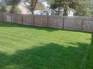 Frisco Y.'s Yard Cutting service result