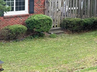 Bush Trimming by Victor Martinez for Christopher H. in Marietta, GA