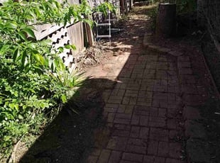 Cleanups by Paytience Rodriguez for Lee S. in Fort Worth, TX