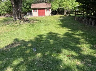 Mike S.'s Lawn Mowing service result