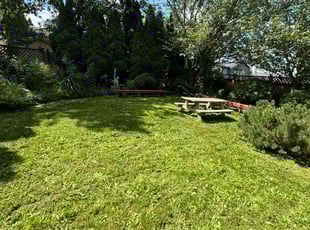 Frank M.'s Lawn Care service result