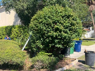 Bush Trimming by Carlos Hernandez for Richard P. in Tampa, FL
