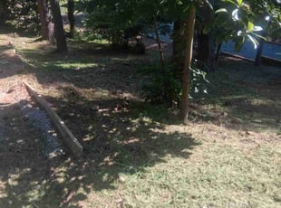 Weeding by Khalid Muhammad for Maggie T. in Chapel Hill, NC