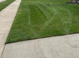 Misha L.'s Lawn Maintenance service result