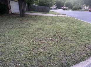 Scott S.'s Lawn Mowing service result