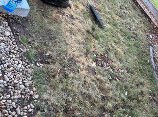 Leaf Removal by J'azmin Smith for Jonathan V. in Aurora, CO