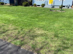Bob Y.'s Grass Cutting service result